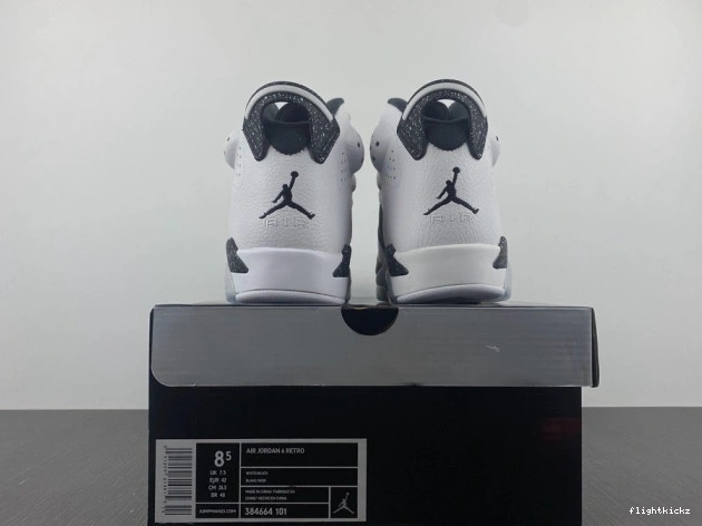 Retro Jordan 6 384664-101 Oreo 0807